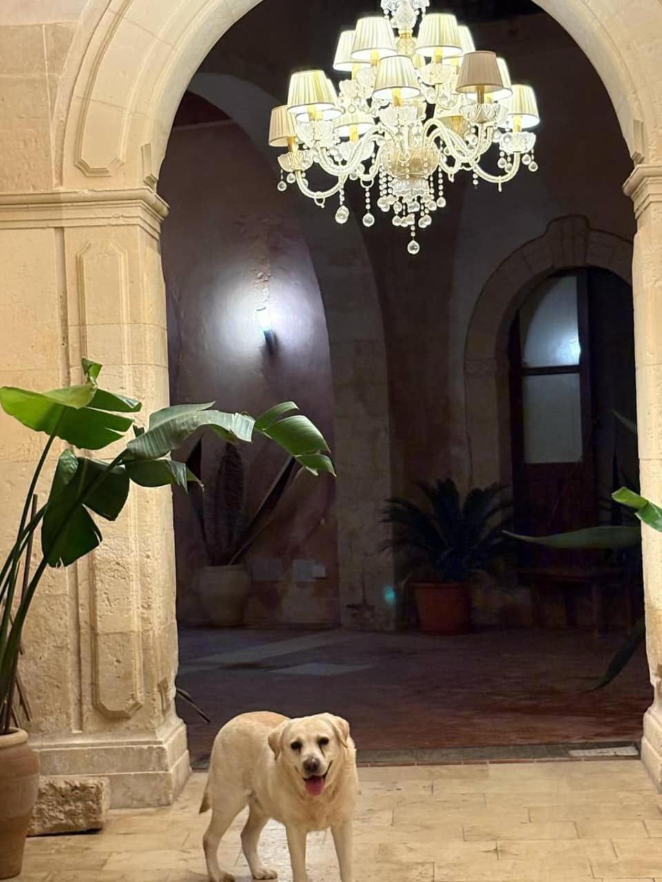 Palazzo Gancia Holiday Homes Syracuse Luaran gambar
